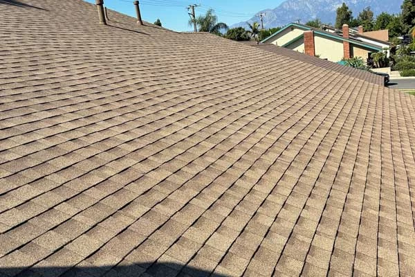 A residential rooftop covered with brown asphalt shingles under clear skies stands proudly, showing a uniform pattern. Surrounded by green trees and neighboring houses, it awaits the skilled hands of a roofer for any necessary roof repair or eventual roof replacement.